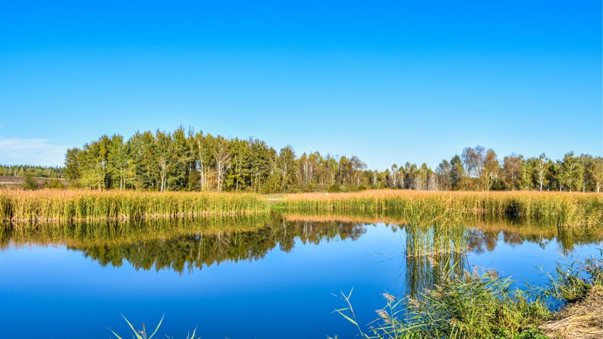 Sherwood Lake Hotel Berezovka  Eksteriør bilde